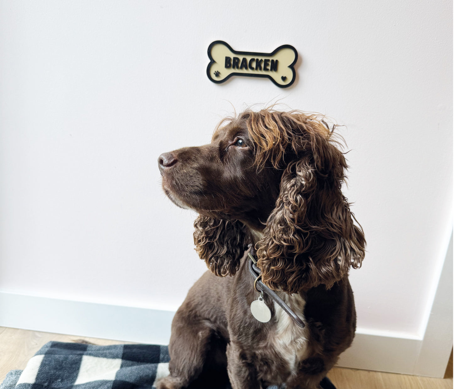 Dog Name Wall Plaque
