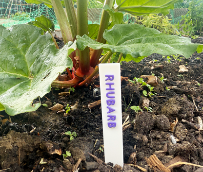 Plant Markers
