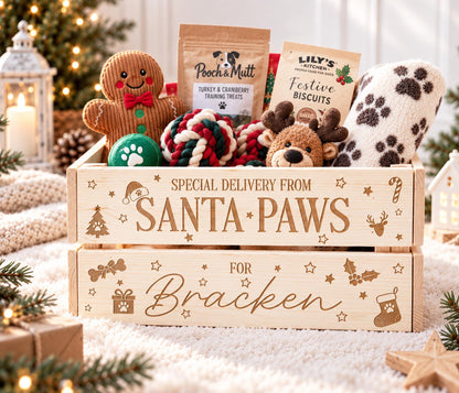 Santa Paws Dog Christmas Eve Box